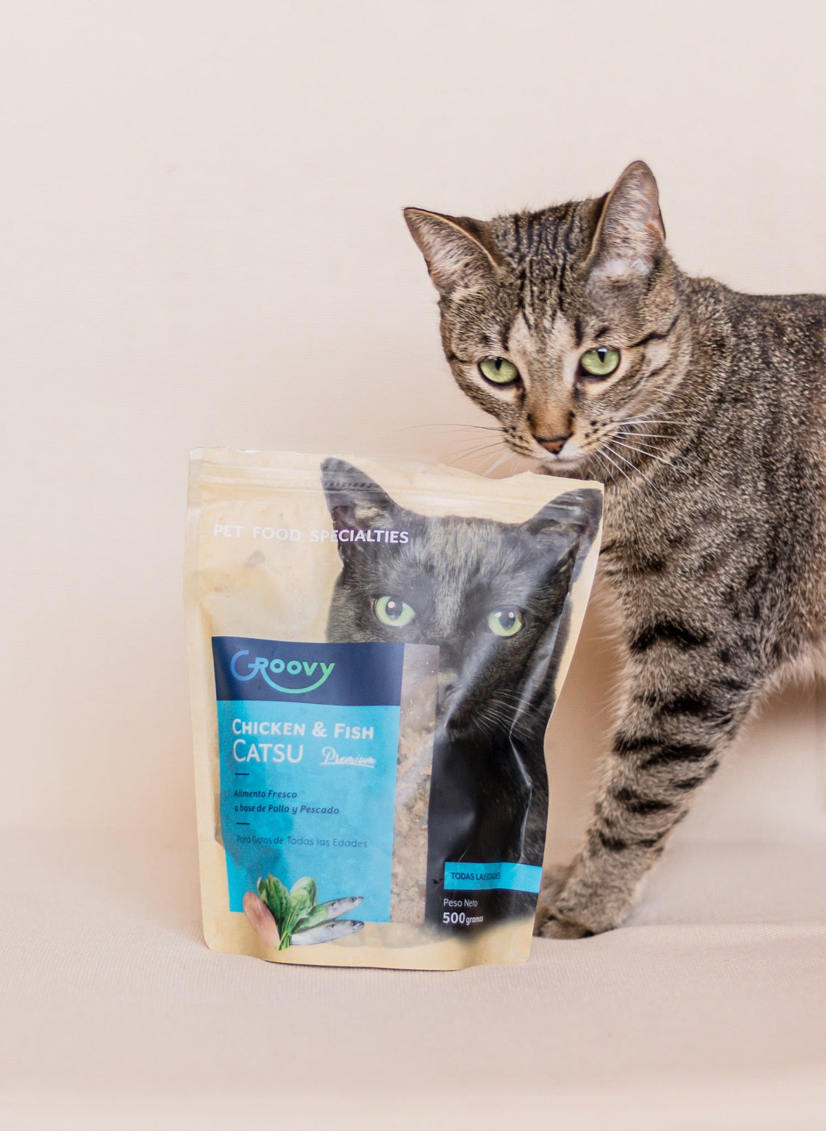 Gato junto a receta Chicken & Fish Catsu Groovy