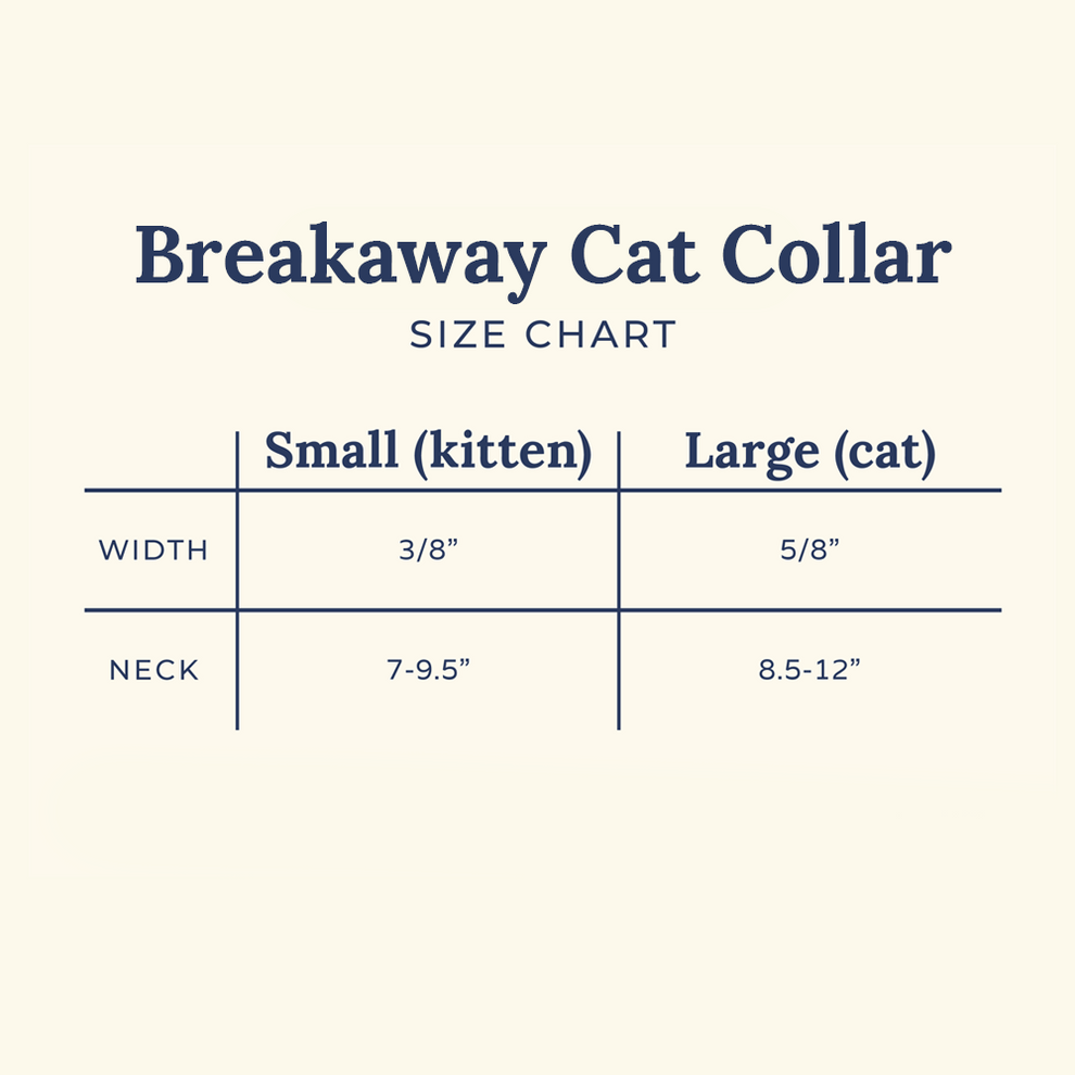 Collar para Gato Looking Sharp