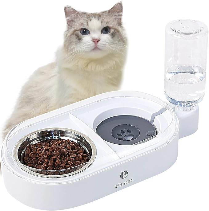 Pet Food and Water Bowl