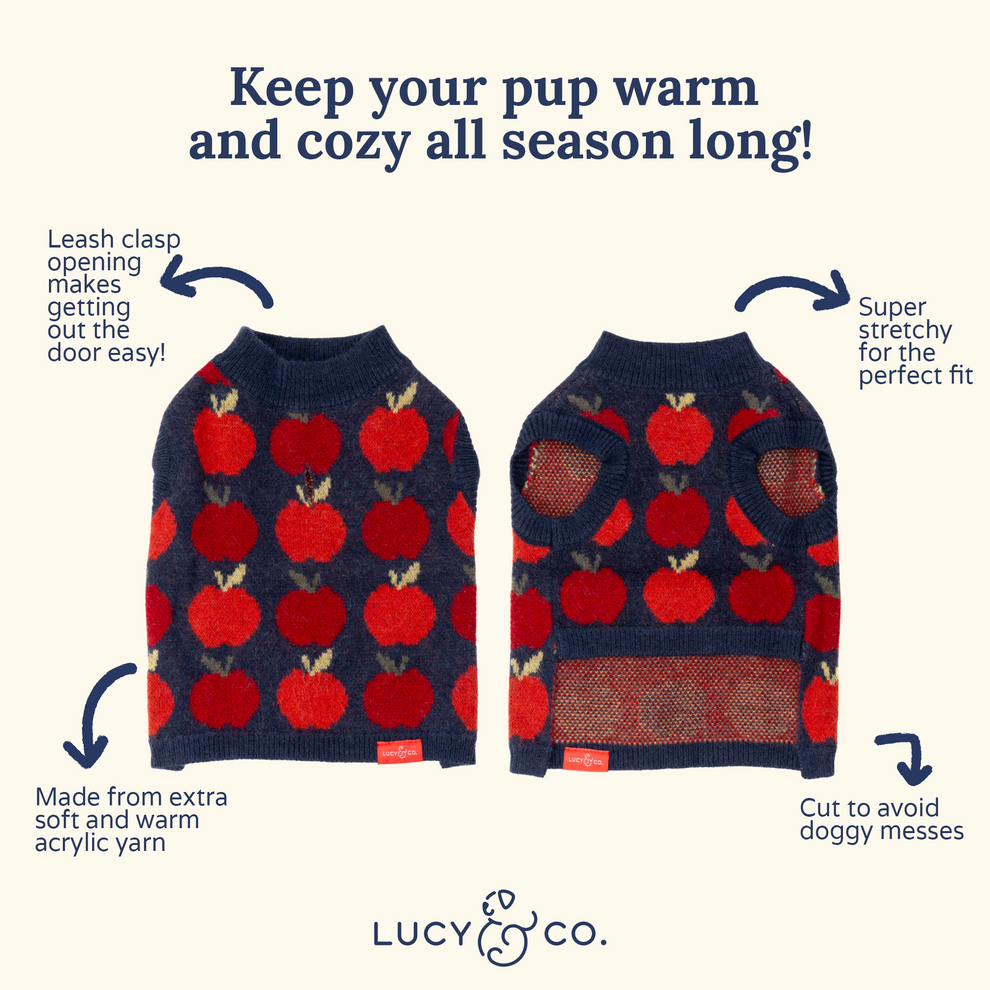 Appley Ever After Sweater