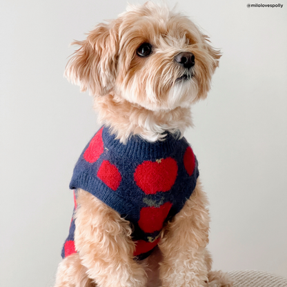 Appley Ever After Sweater