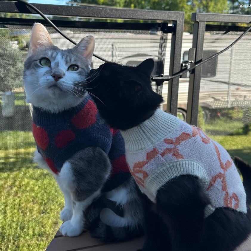 Appley Ever After Sweater