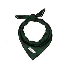 Bandana Let's Adventure