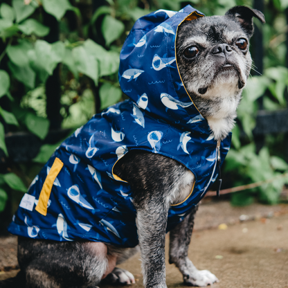 Capa Reversible Shark Attack