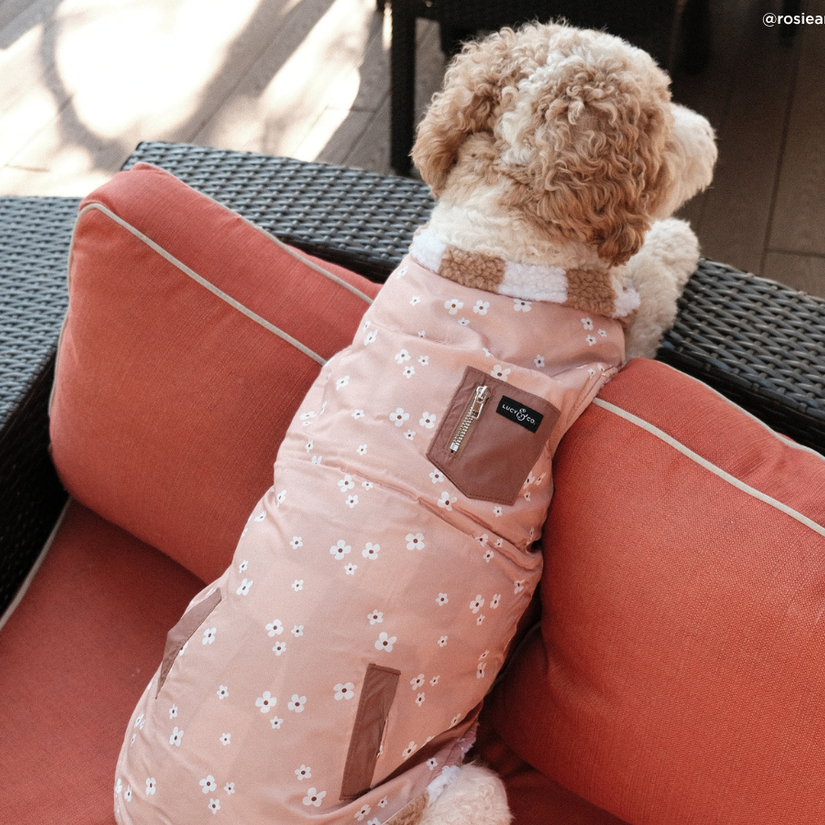 Chaleco Revesible Playing Checkers