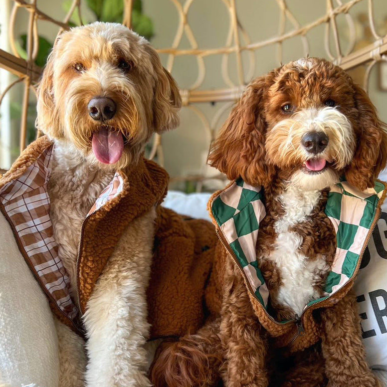 Chaleco Revesible You're a Square