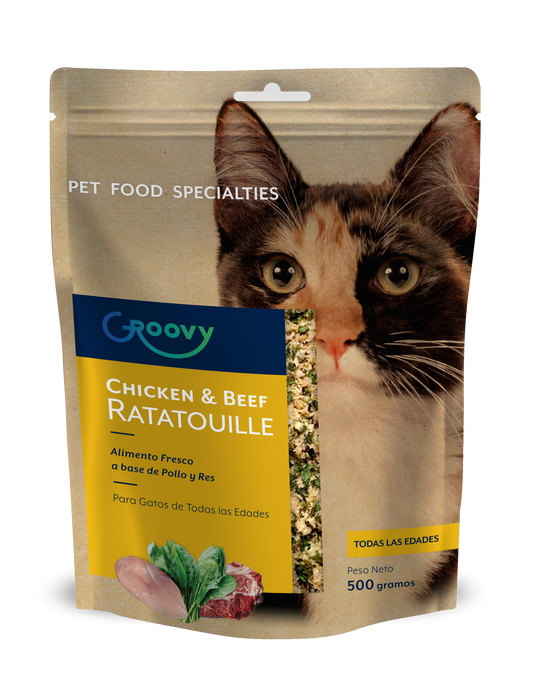 Chicken & Beef Ratatouille