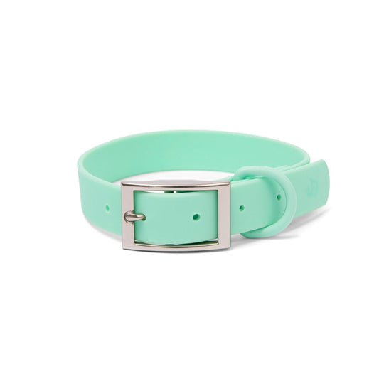 Collar PVC Mint