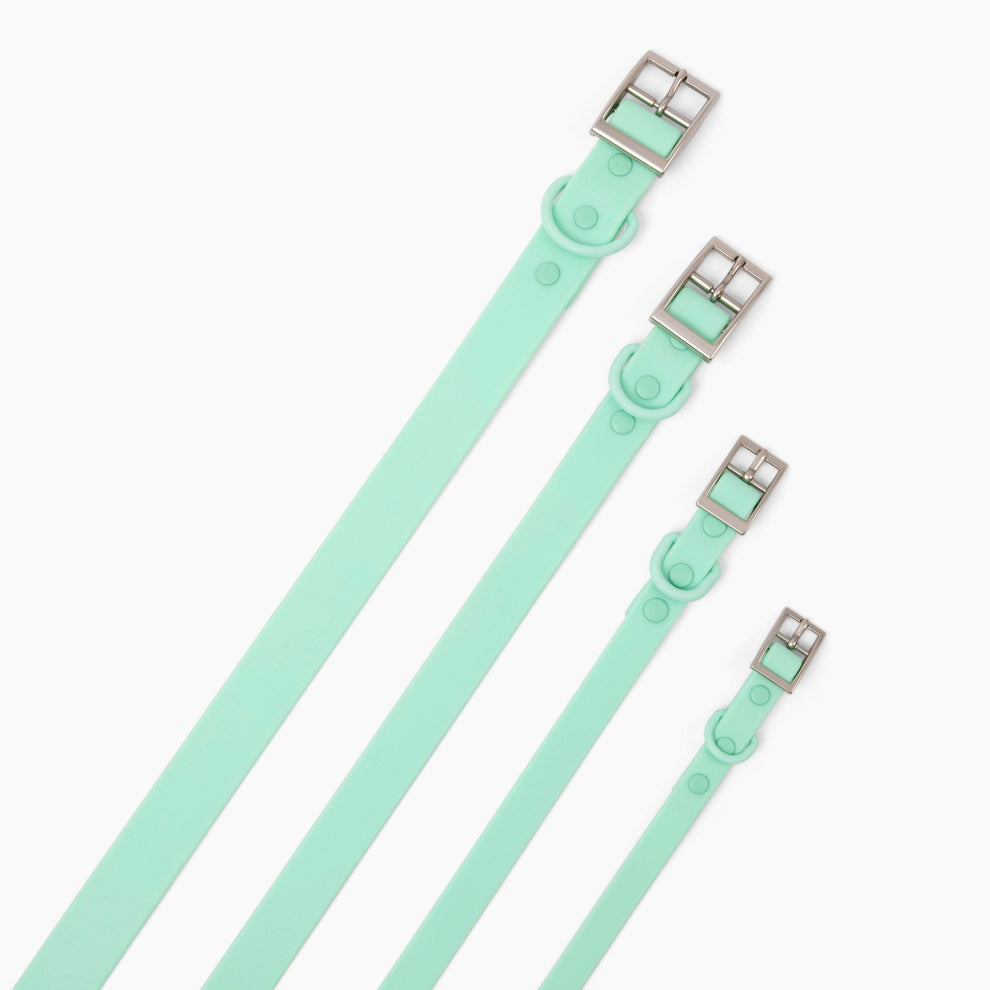Collar PVC Mint