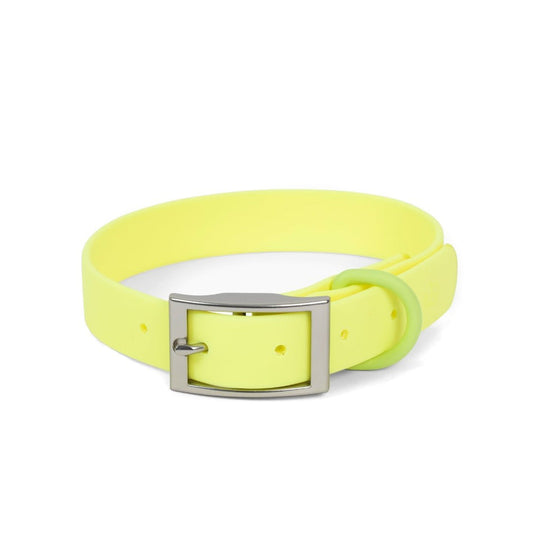 Collar PVC Tennis Ball