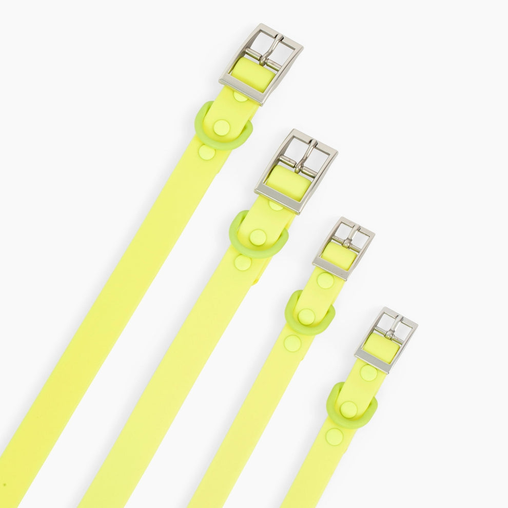 Collar PVC Tennis Ball