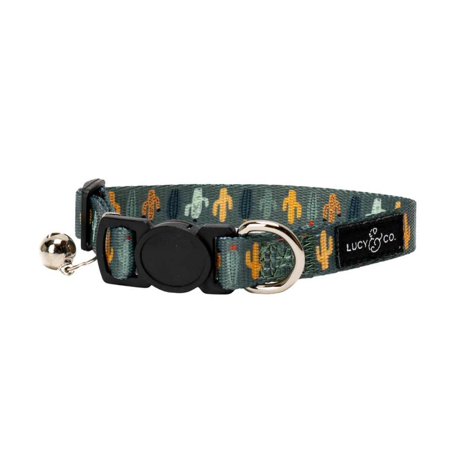 Collar para Gato Looking Sharp