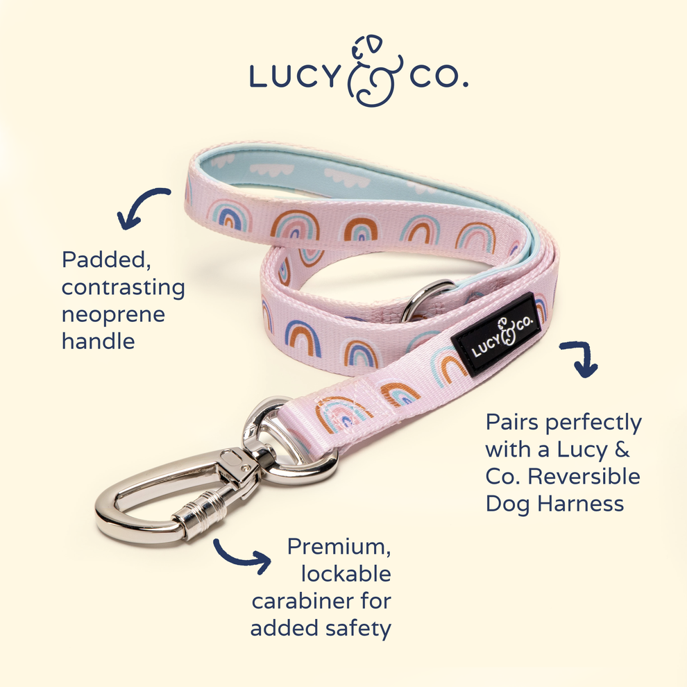 Correa In The Clouds