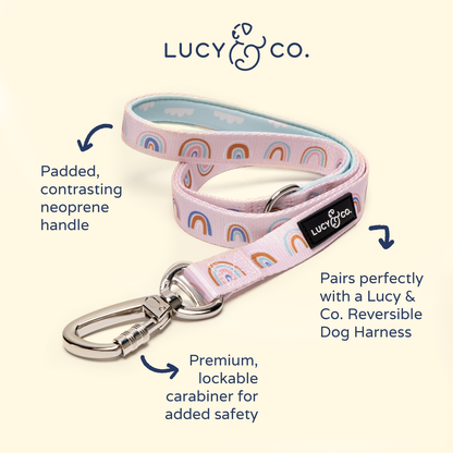 Correa In The Clouds