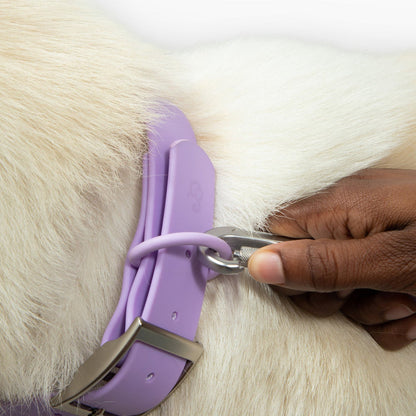 Collar PVC Lilac