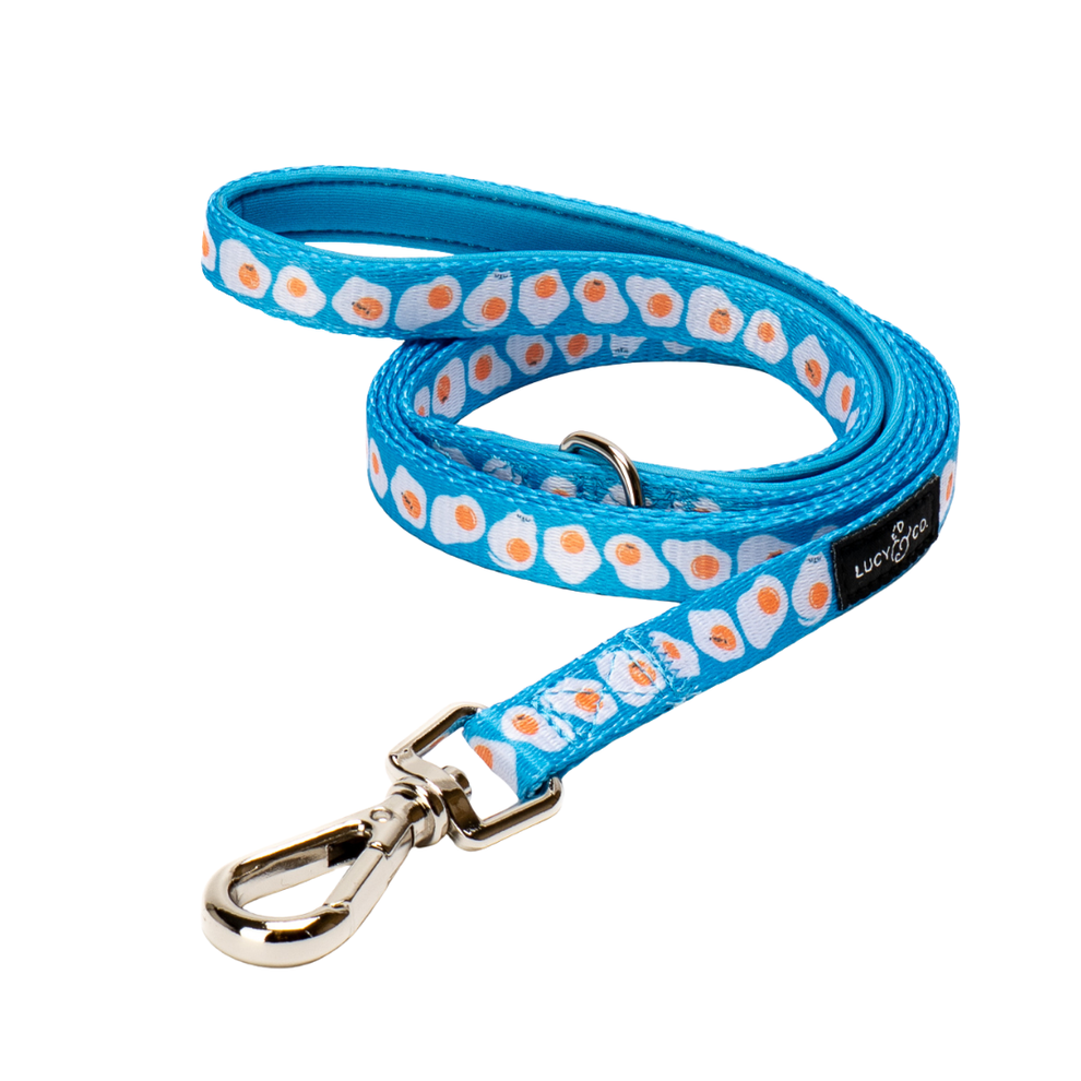 Correa para Gato Eggcellent