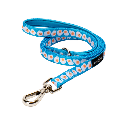 Correa para Gato Eggcellent