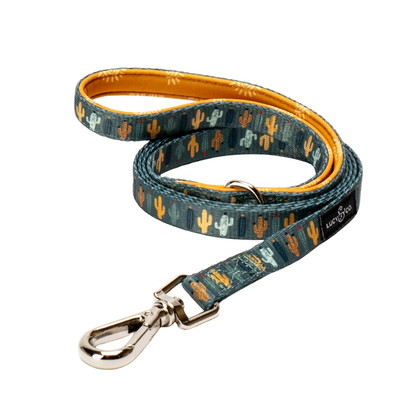 Correa para Gato Looking Sharp