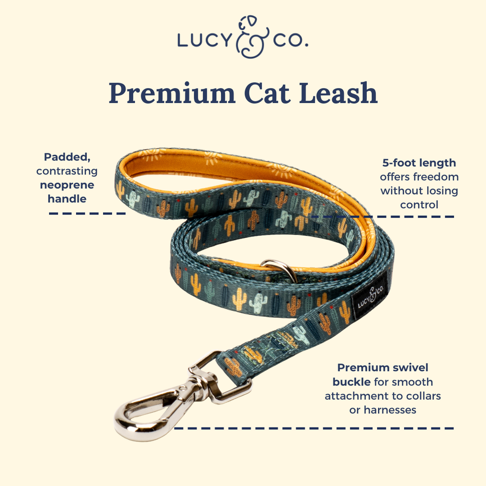 Correa para Gato Looking Sharp