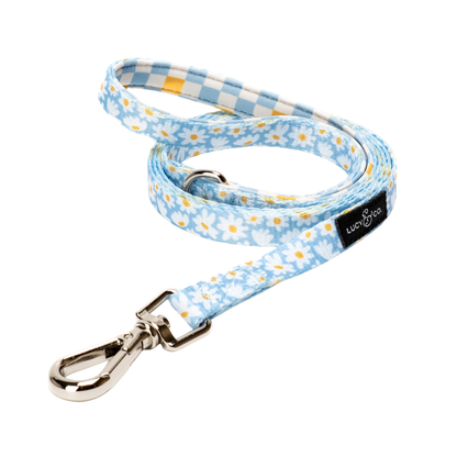 Correa para Gato Simply Splendid