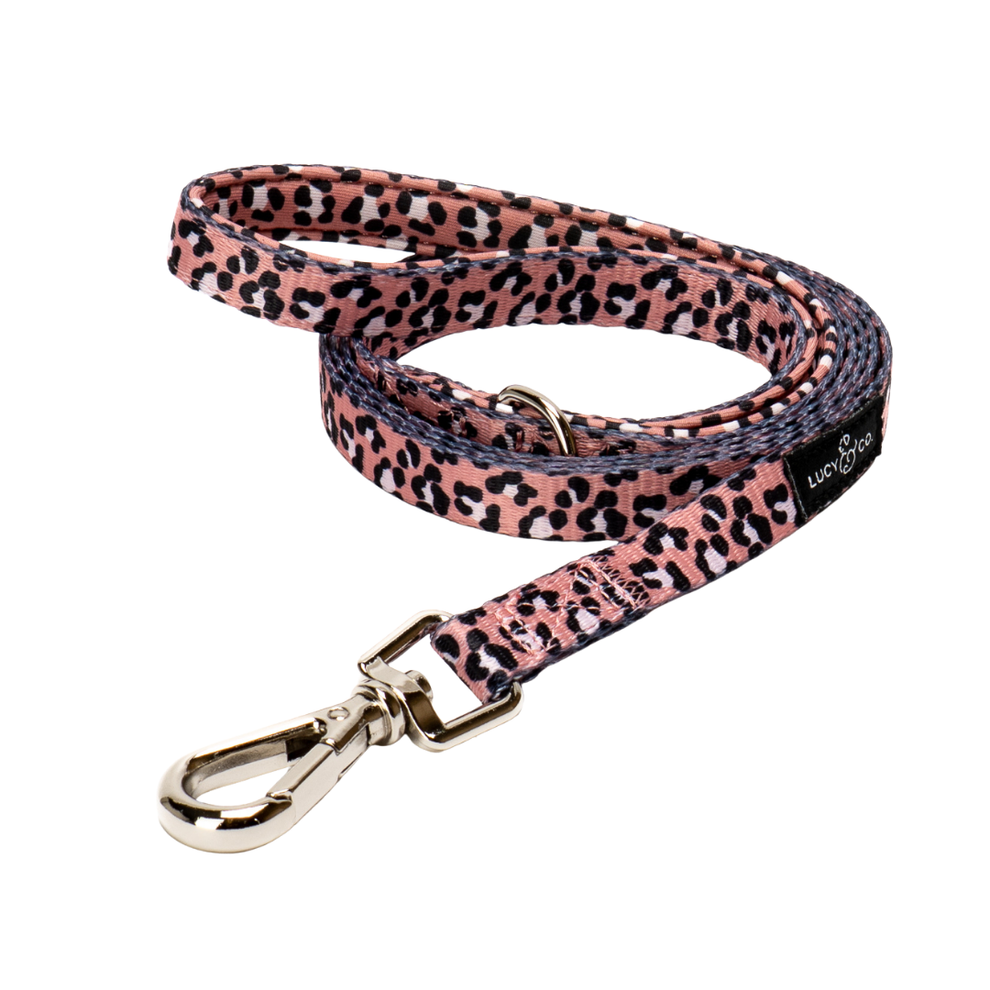 Correa para Gato Wild Side