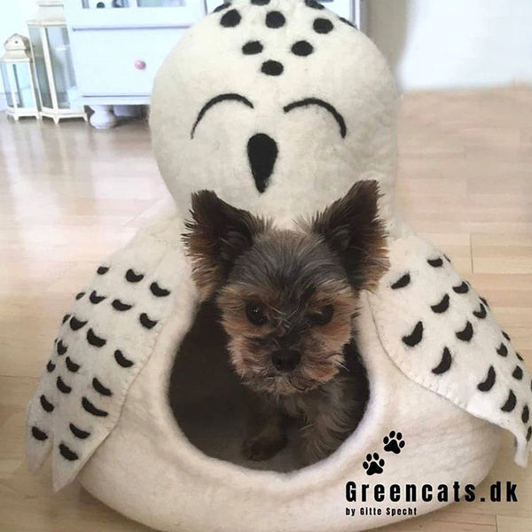 Cama Cueva Snowy Owl