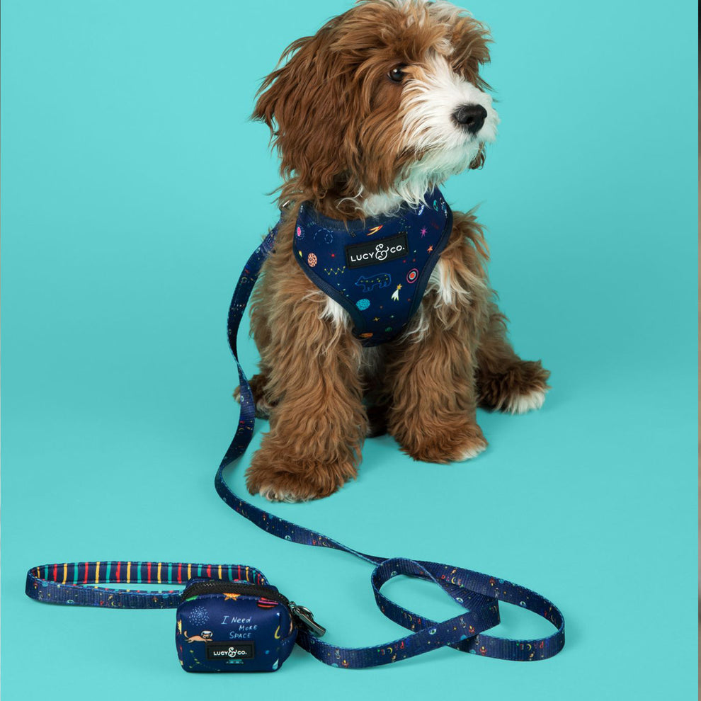 Dispensador de Bolsas Space Doodle