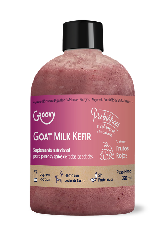 Goat Milk Kefir Frutos Rojos