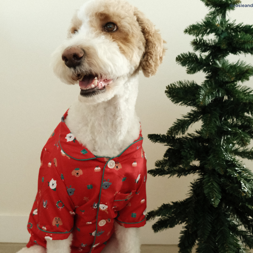Happy Howlidays Pajamas + Antifaz