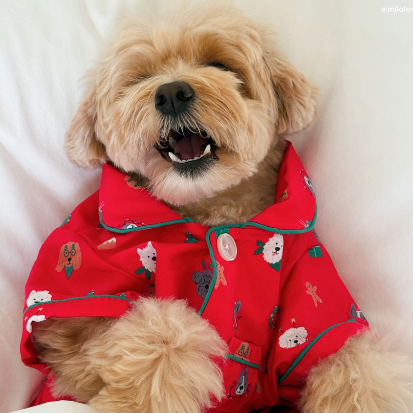 Happy Howlidays Pajamas + Antifaz