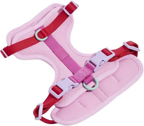 Pechera Bubblegum Colorblock