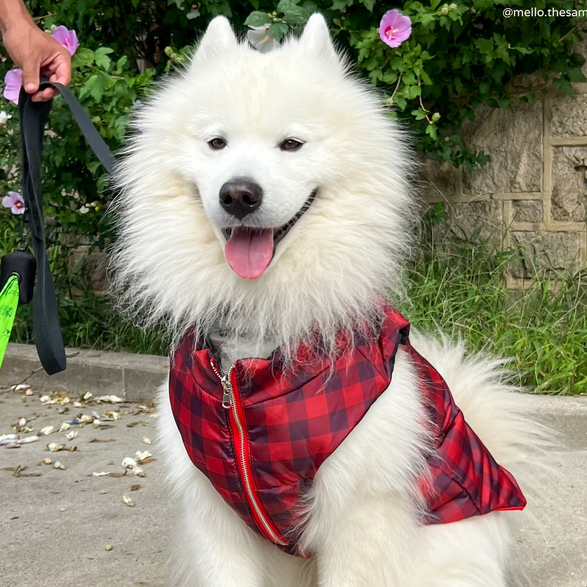 Chaleco Revesible Holly Jolly