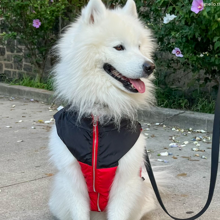 Chaleco Revesible Holly Jolly