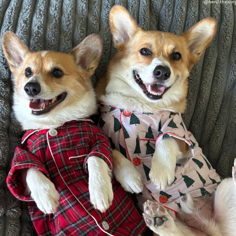 Oh Christmas Tree Pajamas + Antifaz