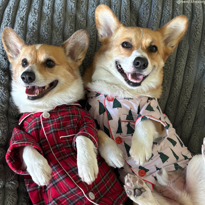 Oh Christmas Tree Pajamas + Antifaz