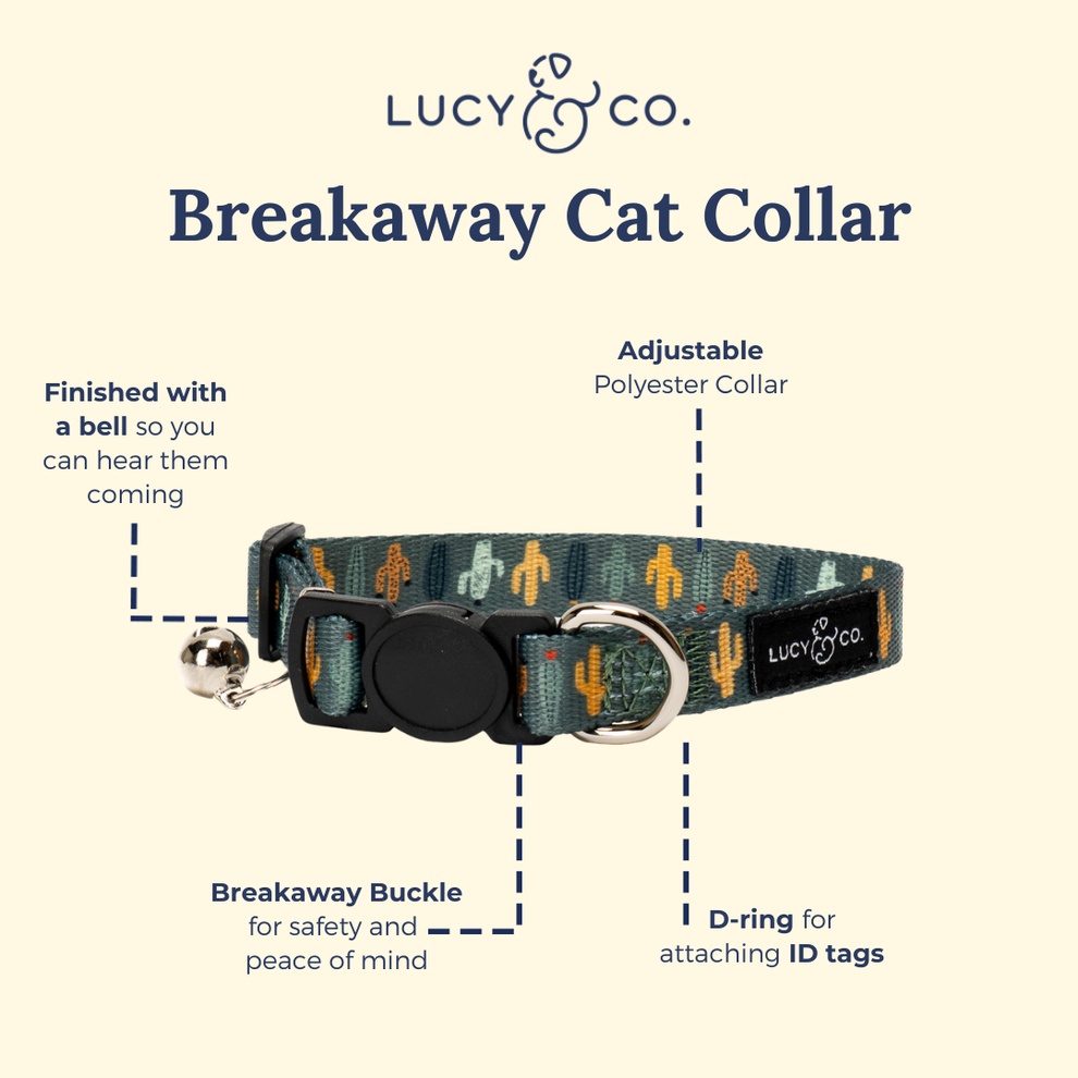 Collar para Gato Looking Sharp