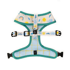 Pechera Reversible Rain or Shine