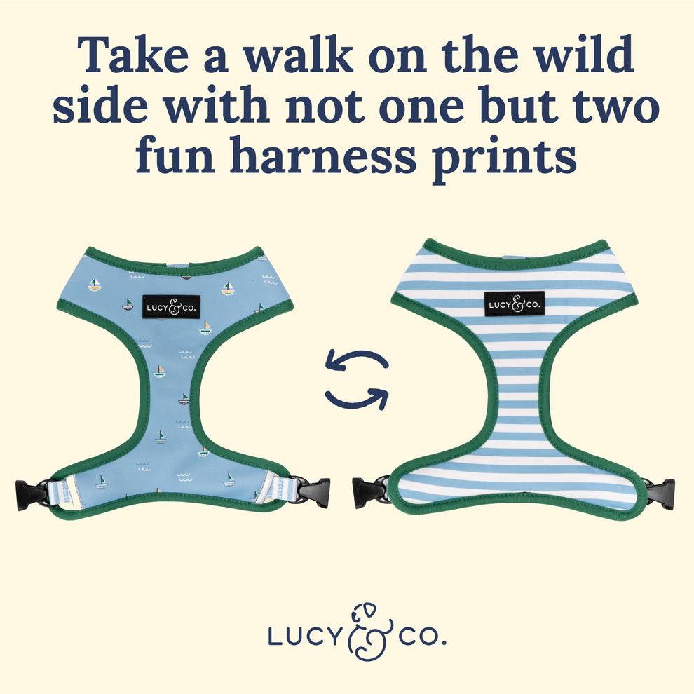 Pechera Reversible Set Sail