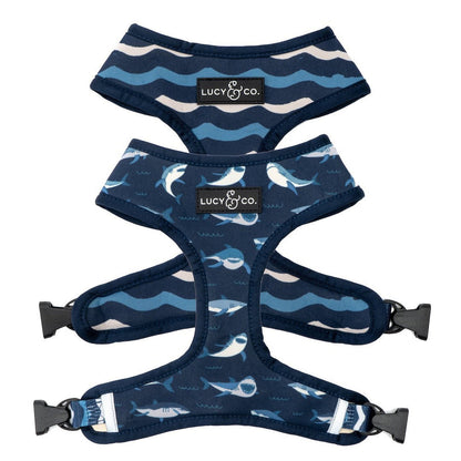 Pechera Reversible Shark Attack