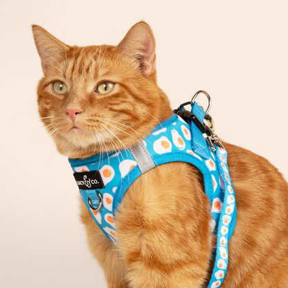 Pechera para Gato Eggcellent