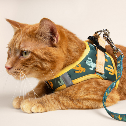 Pechera para Gato Looking Sharp