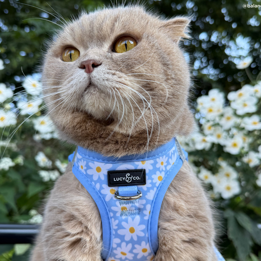 Pechera para Gato Simply Splendid