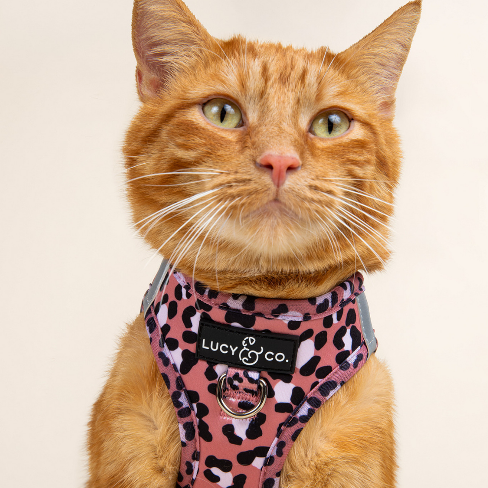 Pechera para Gato Wild Side