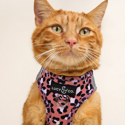 Pechera para Gato Wild Side