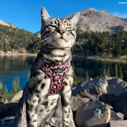 Pechera para Gato Wild Side