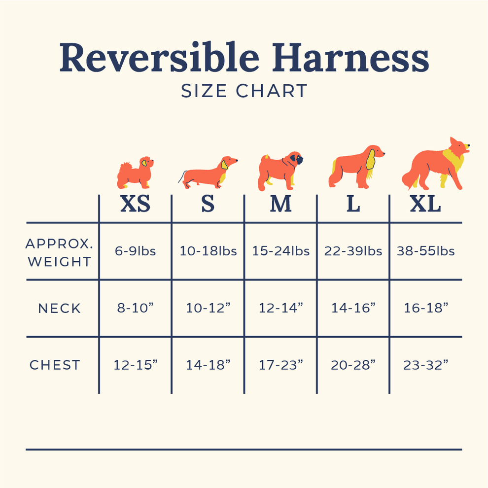 Pechera Reversible Looking Sharp