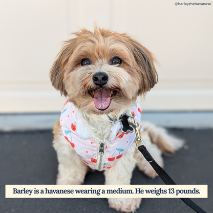 Chaleco Revesible Cheery Cherries