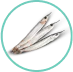 Sardinas