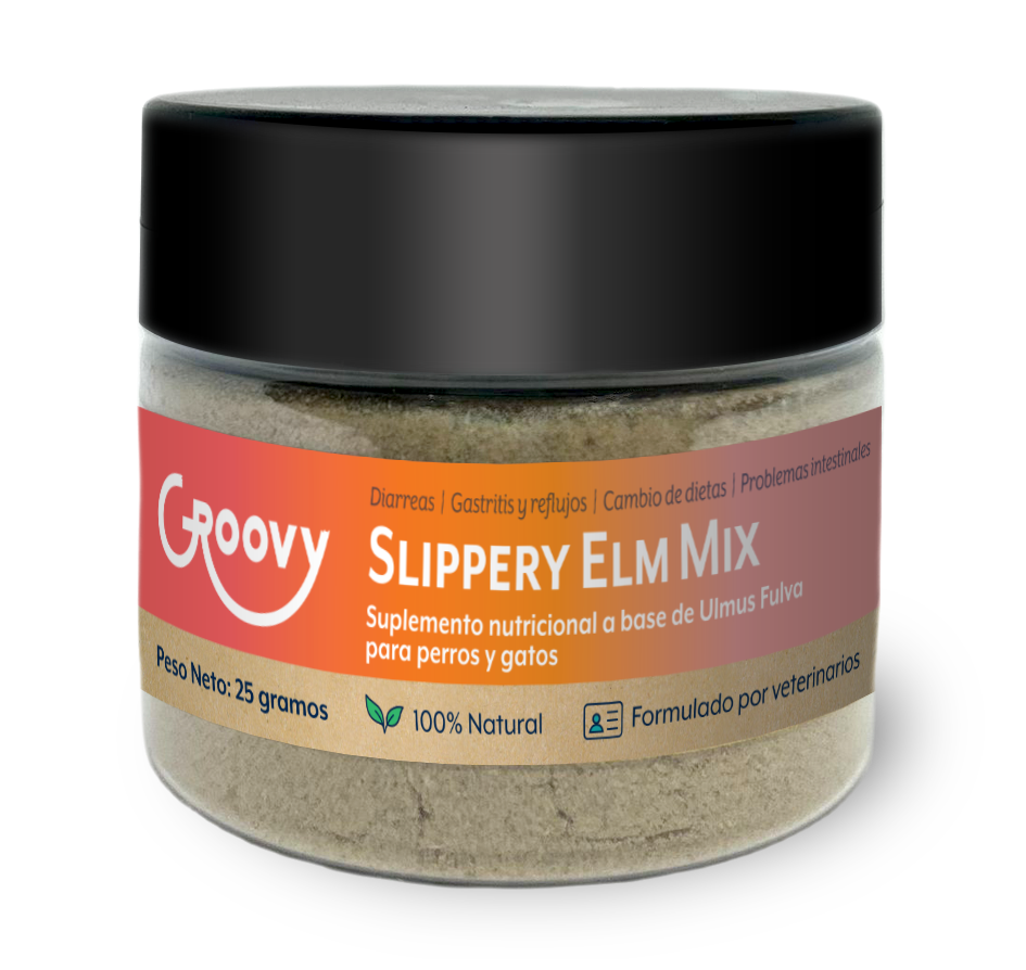 Combo Mejor Digestión