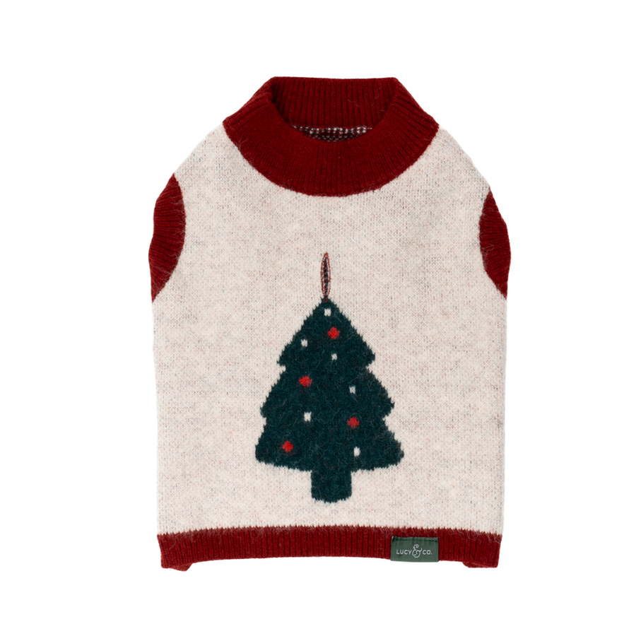 Snow Much Fun Sweater